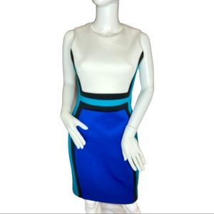 Calvin Klein Color Block Dress